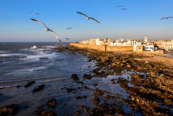 Excursion à Essaouira – Mogador depuis Marrakech - Image 3