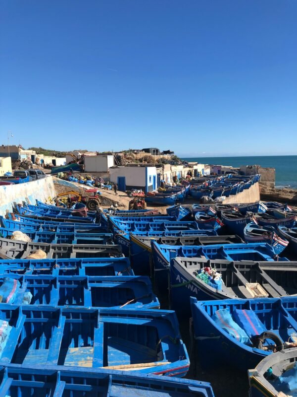 Excursion à Essaouira – Mogador depuis Marrakech - Image 4