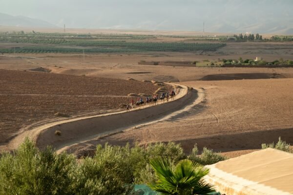 Excursion en Quad à la Palmeraie de Marrakech - Image 3