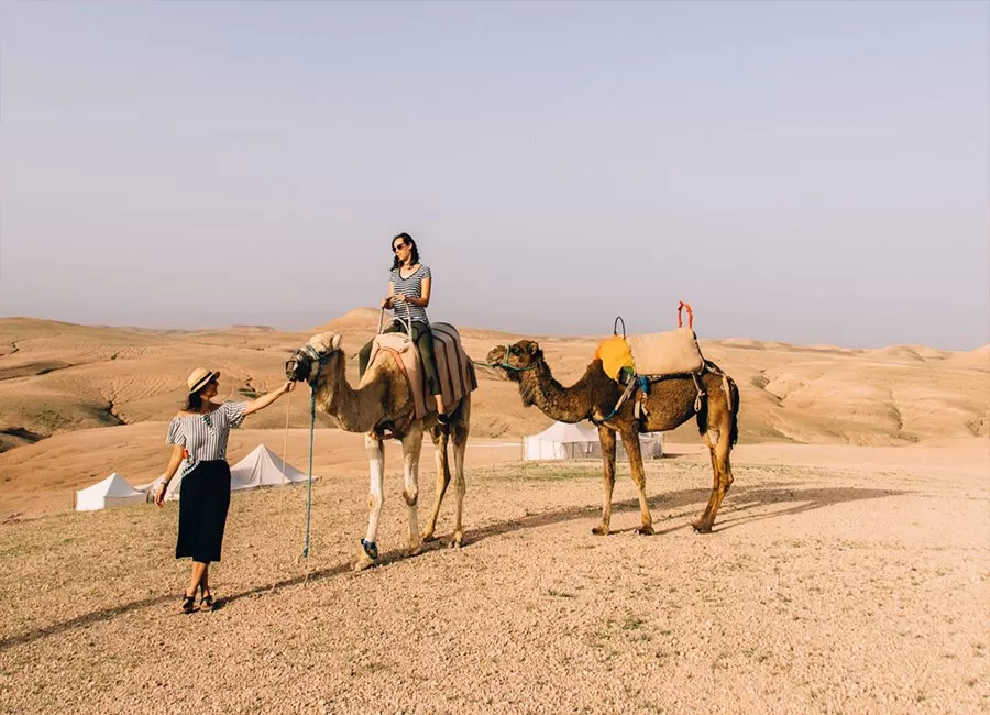 Camel ride Marrakech Agafay Desert option