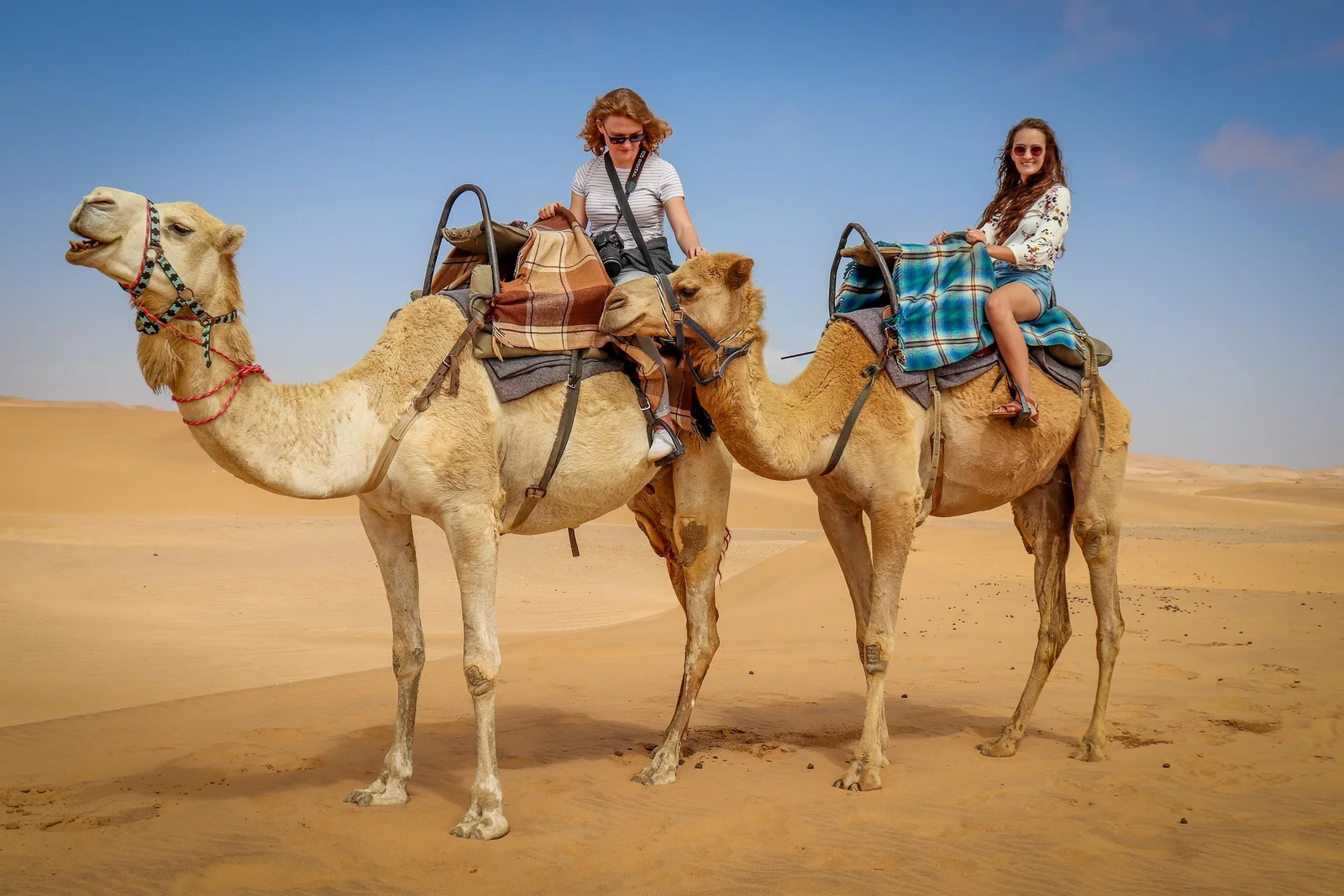 Palmeraie Camel Ride — Marrakech palm grove experience