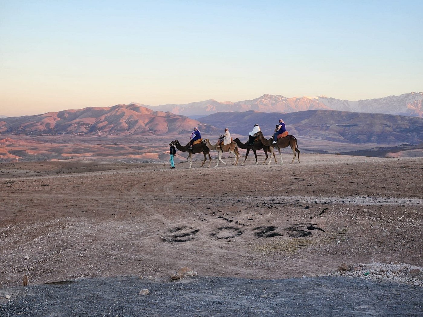 Camel ride Morocco