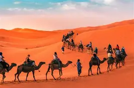 Camel trekking in Merzouga Sahara